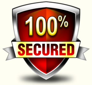 Our data recovery services are guaranteed 100% secure